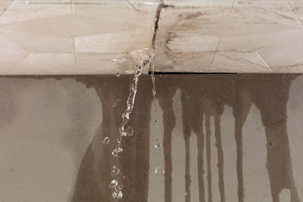 Professional Water Damage Inspection technician working in Cocoa, FL